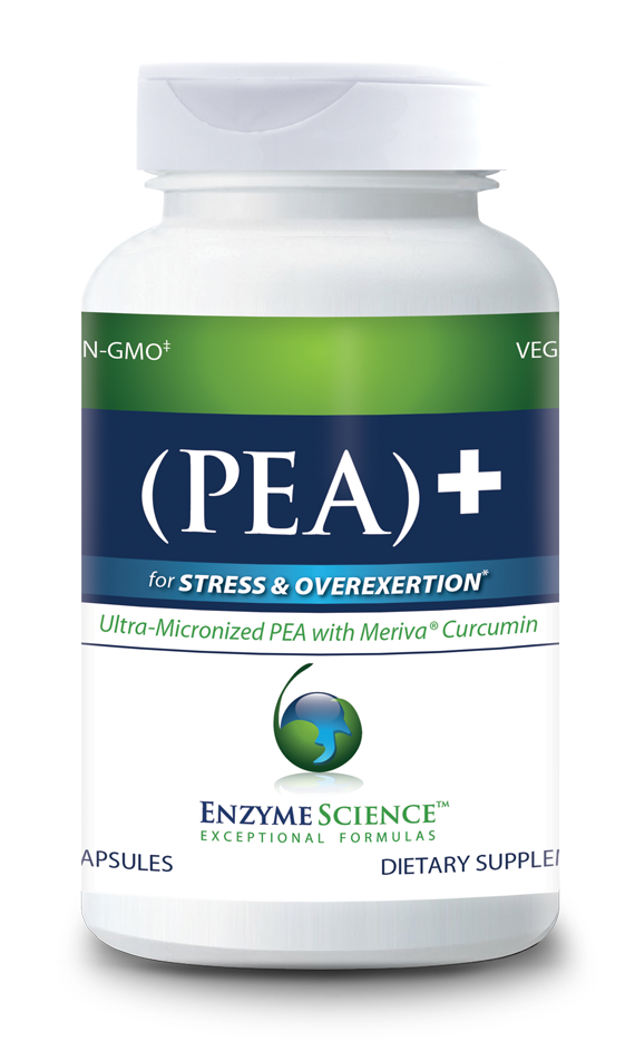 PEA Supplementation for Chronic Pain